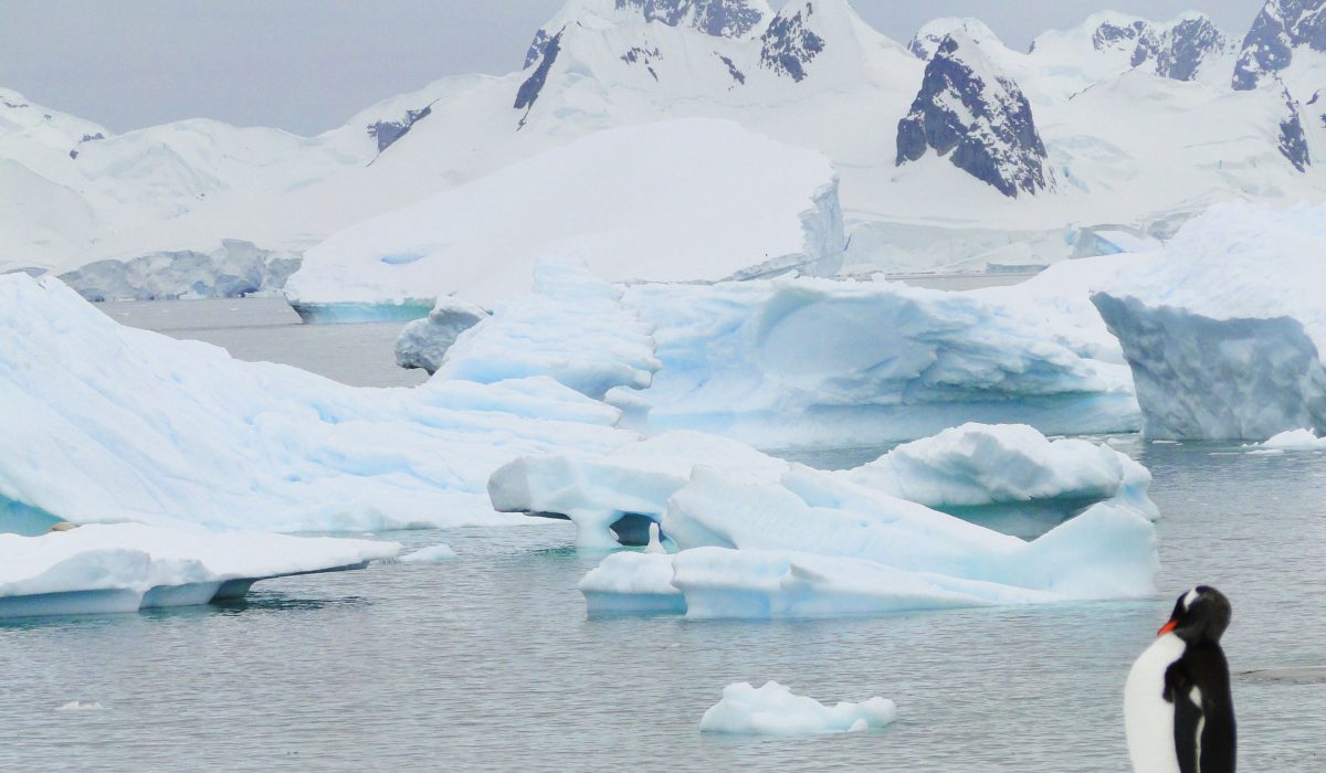 Antarctique-1200x700 Antarctique-1200×700