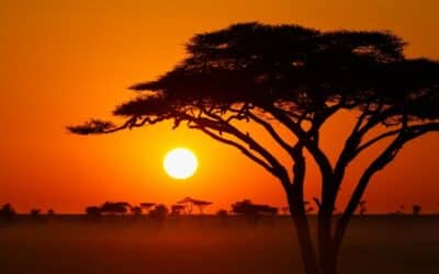 Que voir en Afrique du Sud ? 5 lieux à visiter absolument