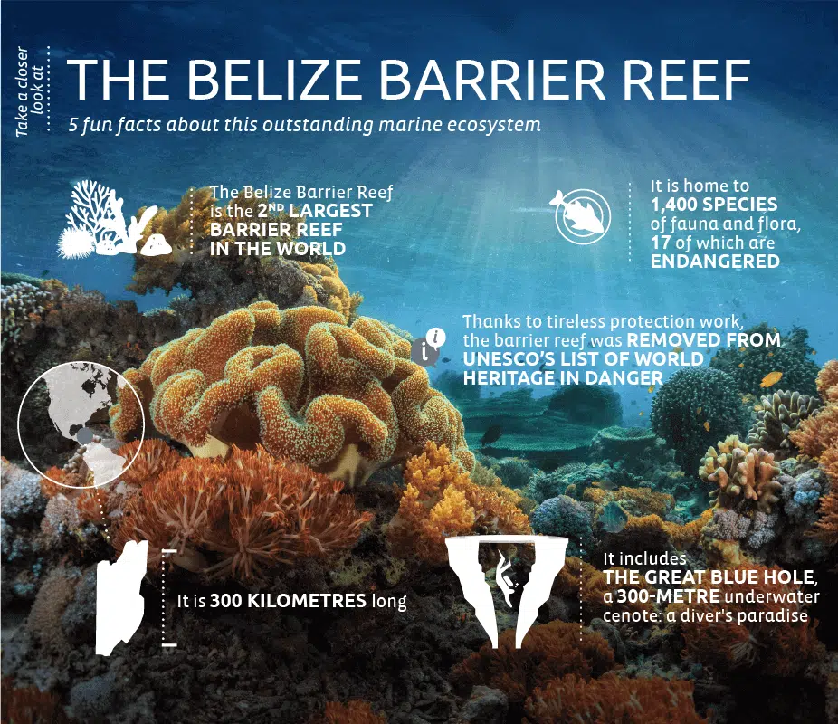 Belize-barriere-corail-EN