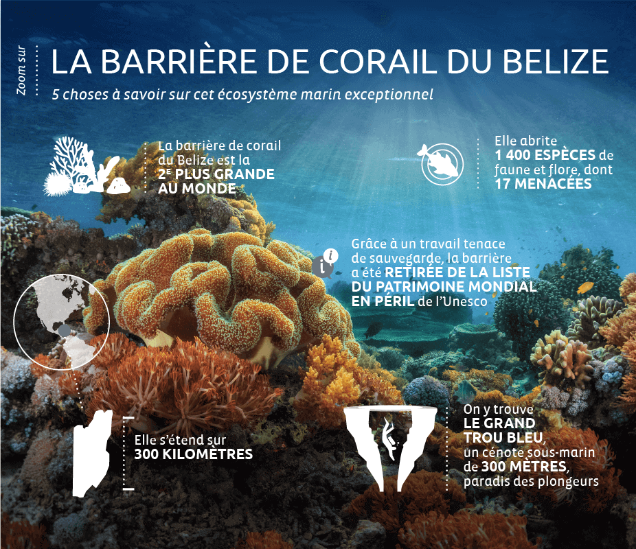 Belize-barriere-corailV3-02