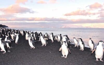 Where to spend New Year’s Eve: our selection