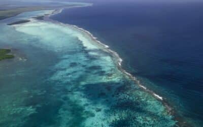 Fun facts about the Belize Barrier Reef