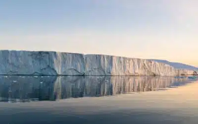 Arctique vs Antarctique : 5 différences entre ces deux contrées glacées