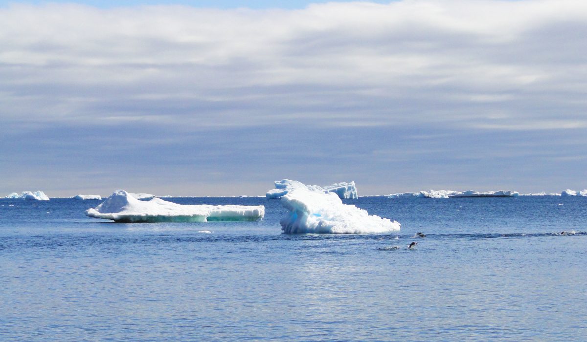 icebergs-1200x700 icebergs-1200×700