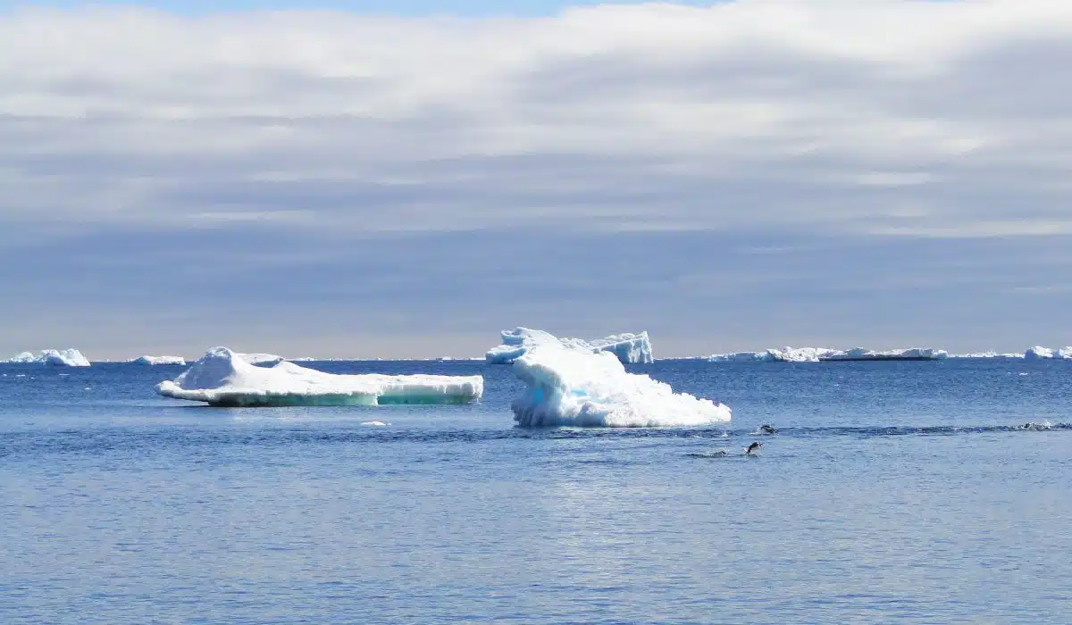icebergs-1200×700