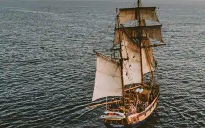 Pirate ou corsaire, la loi de la mer