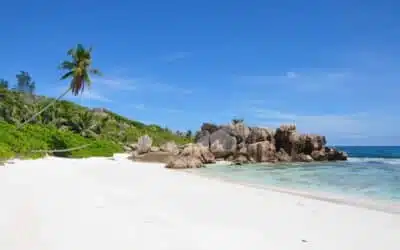 L’archipel des Seychelles : la grande évasion