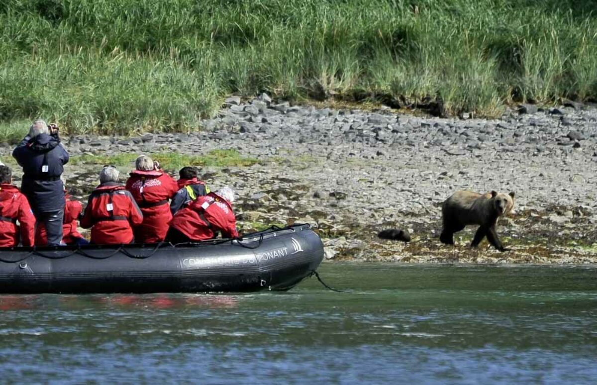 rencontre avec animaux sauvages