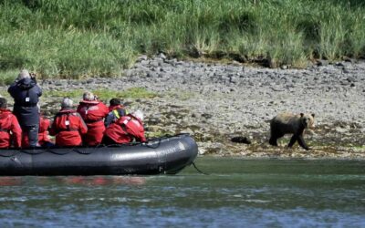 10 incredible encounters with animals on the other side of the world