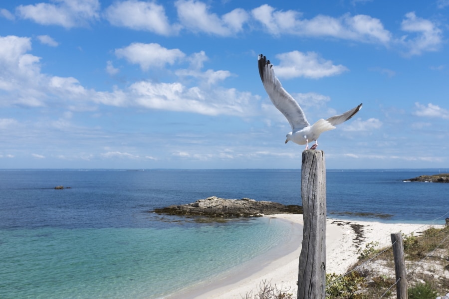 AdobeStock_90631825 AdobeStock_90631825