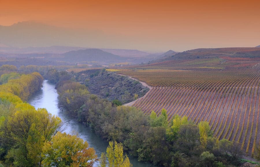 Vineyards in La Rioja, Spain.