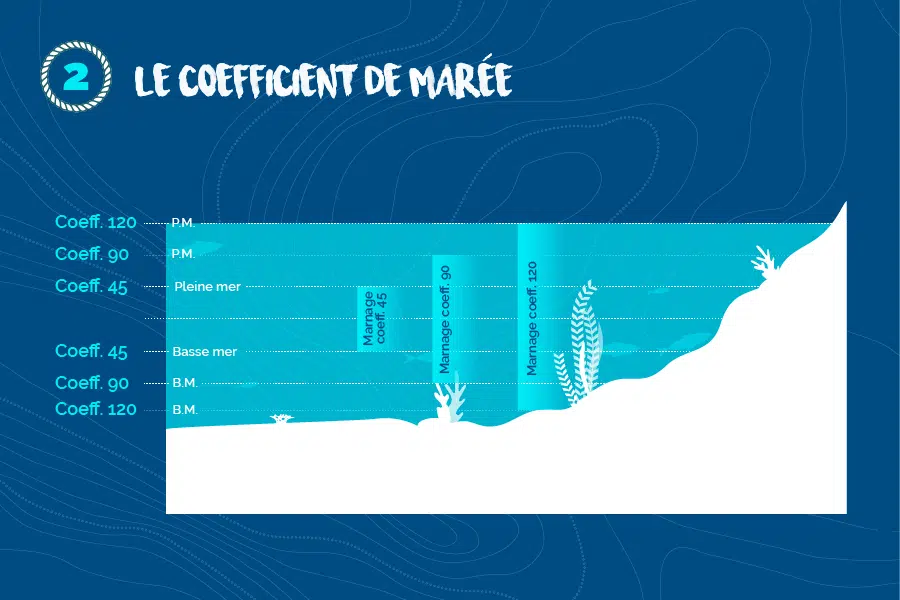 Le-coefficient-de-maree-2019