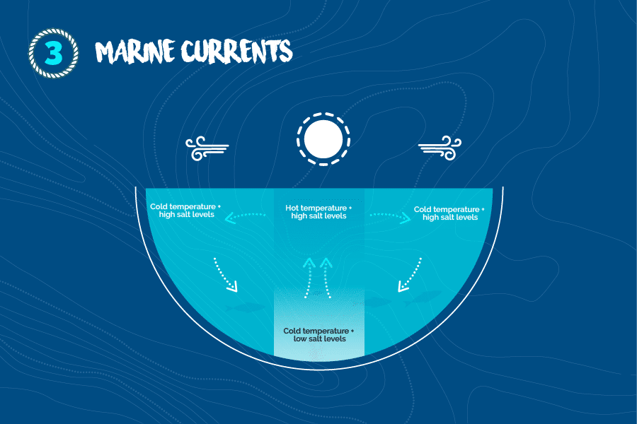 Marine-currents Marine-currents
