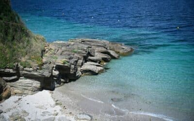 Going away with PONANT:  “a sensation of freedom and safety”