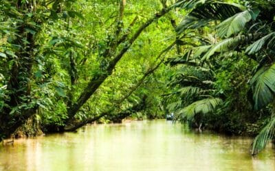 Ponant Discovery : récit d’un voyage de repérage en Guyane