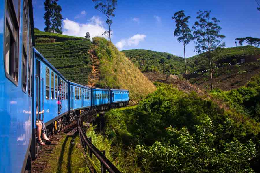 Tea-plantations-Sri-Lanka Tea-plantations-Sri-Lanka