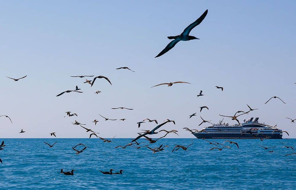 header-lacepedes-1900×800-compressor_img1000x645