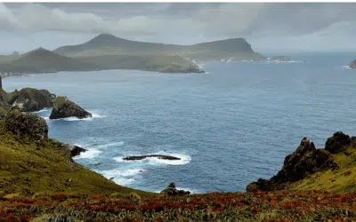 À la découverte des trésors naturels des îles subantarctiques