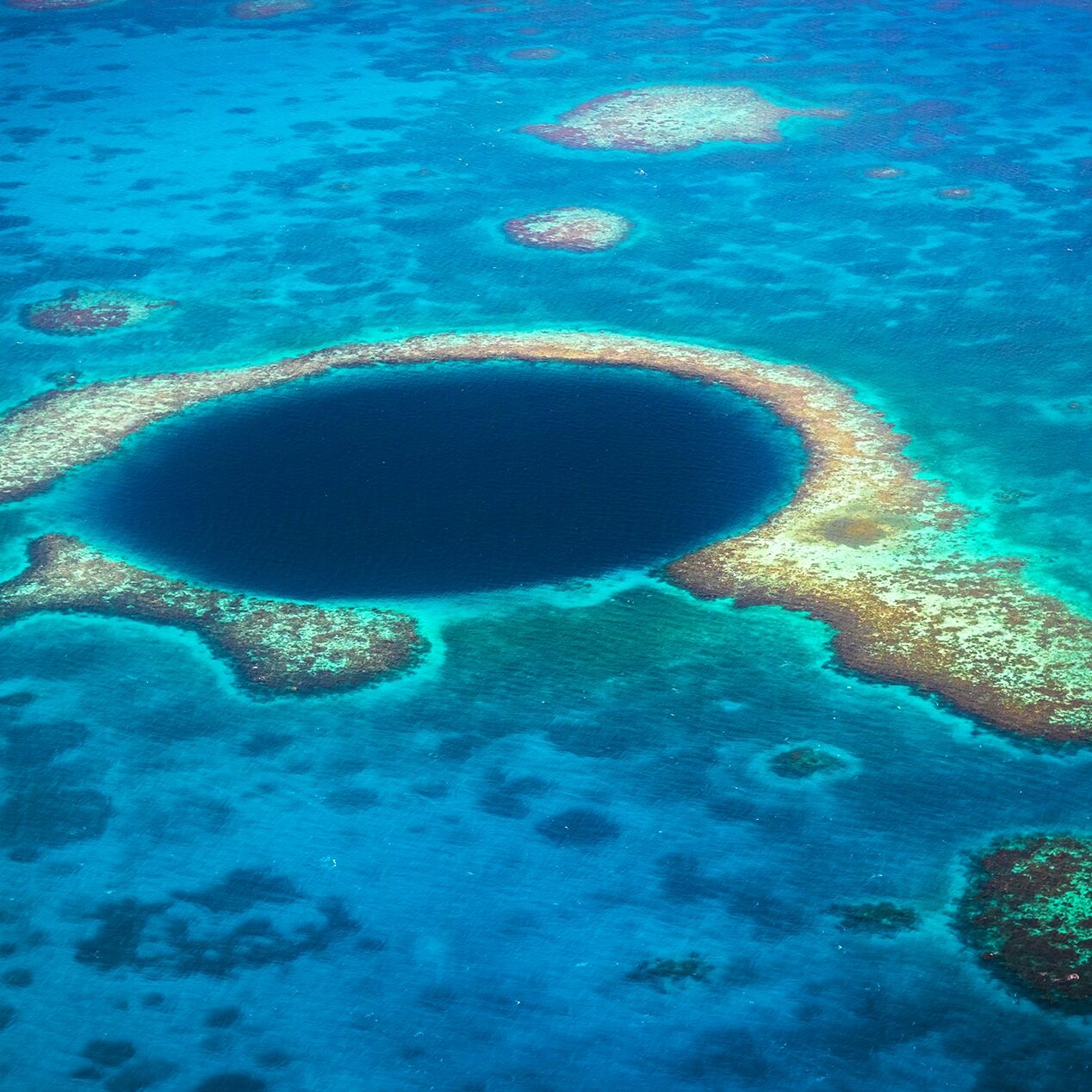 Great Blue Hole, an underwater cenote in Belize | PONANT EN