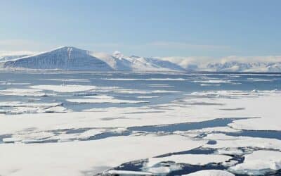 Fünf Gründe für eine Polarexpedition mit PONANT