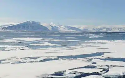 5 raisons de partir en expédition polaire avec PONANT