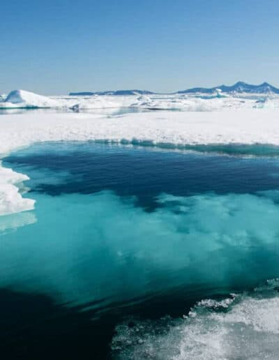 Where should I go in the Artic?
