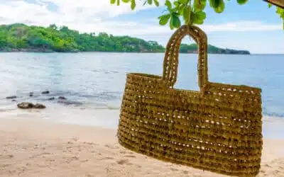 What can you bring back from the Grenadines?