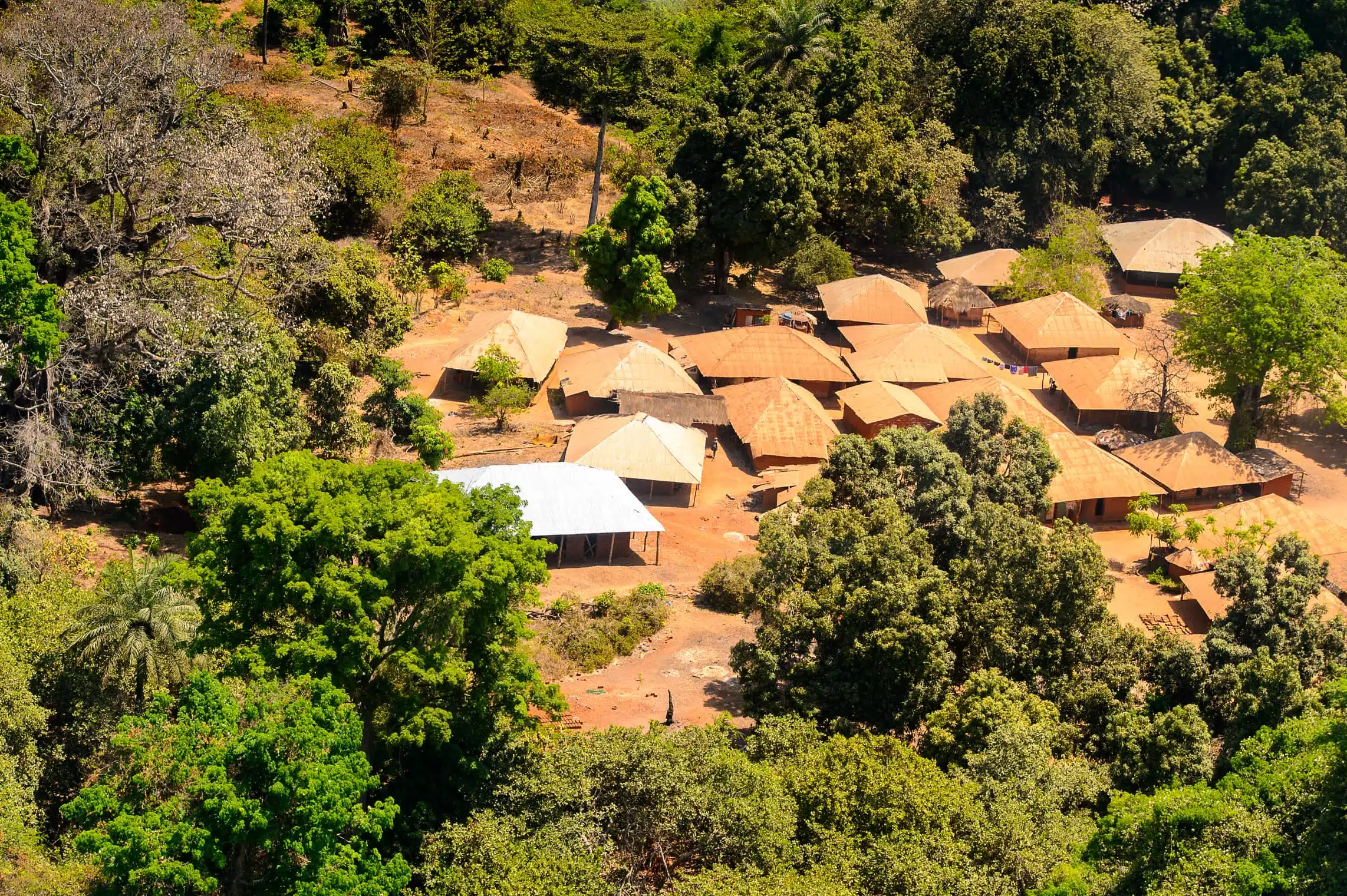 Village africain entouré de forêt tropicale