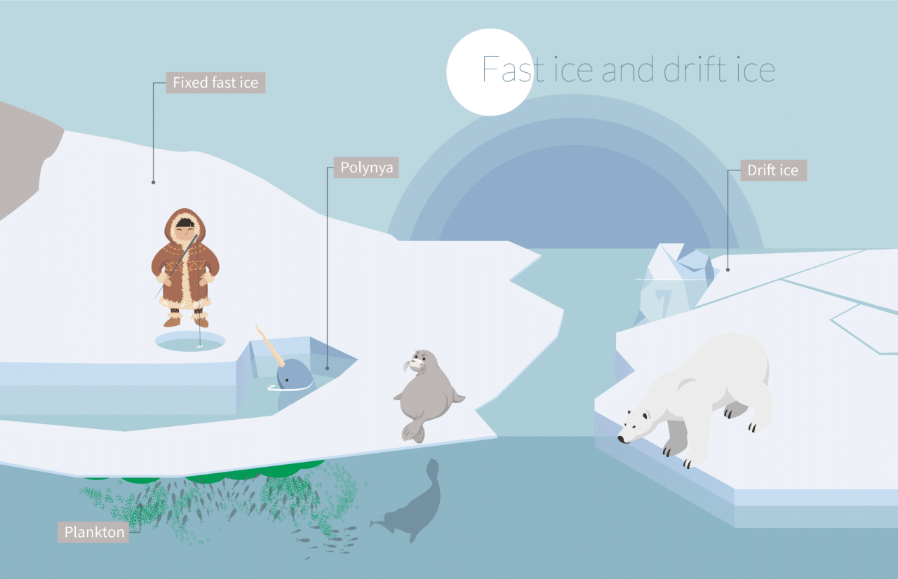 Sea Ice or Freshwater Ice Recognising Ice Formations Magazine PONANT