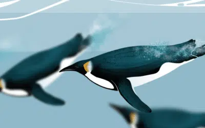 The emperor penguin: the sentinel of Antarctica