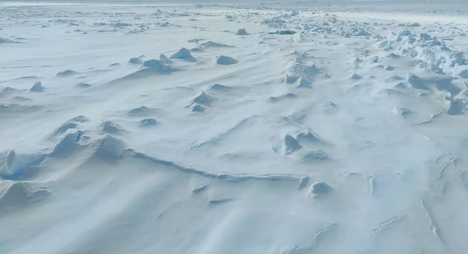 Banquise arctique