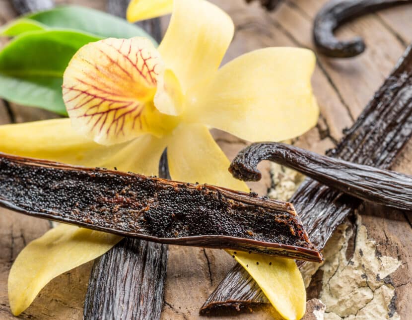 Vanilla from Madagascar and Reunion Island The Secrets of this Sought