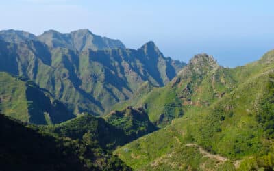 Anaga: in Tenerife’s primary forest