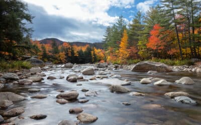 Par monts et par vaux dans les parcs naturels du New Hampshire et du Maine