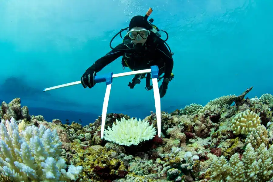 seychelles-slow-tourisme Tourisme écoresponsable aux Seychelles