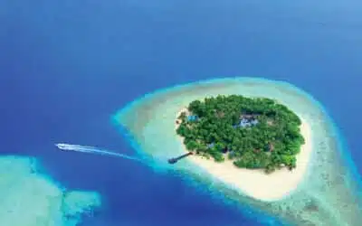 Fascinating marine worlds of the Maldives