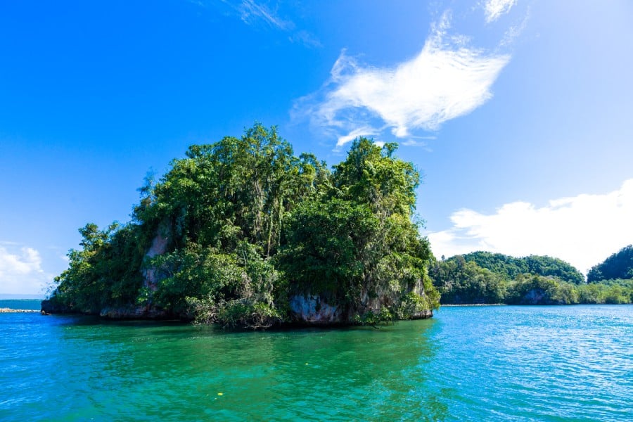 La Baie de Samana, trésor préservé de la République Dominicaine