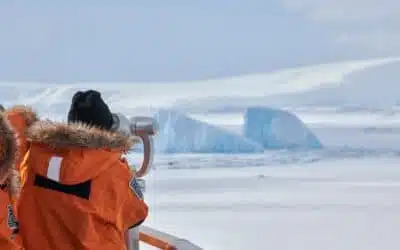 Quand partir en Antarctique ?