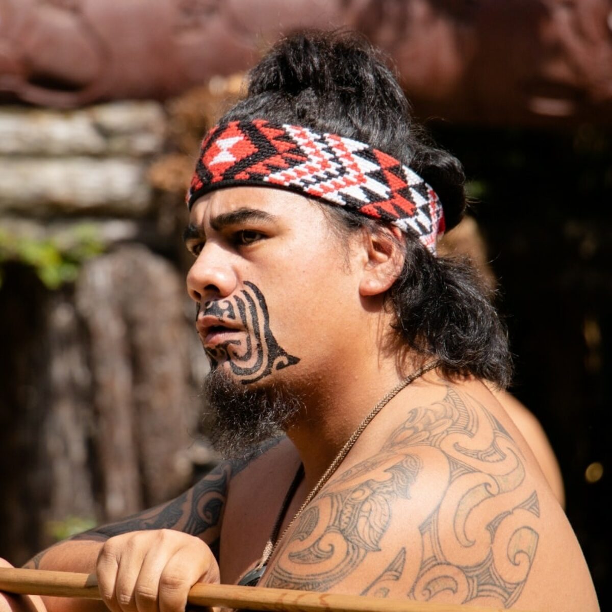 MAORI さま　4枚 The Maoris : Meeting with the People of New Zealand | Magazine PONANT
