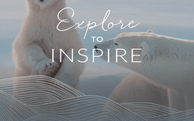 A magical encounter at high latitude