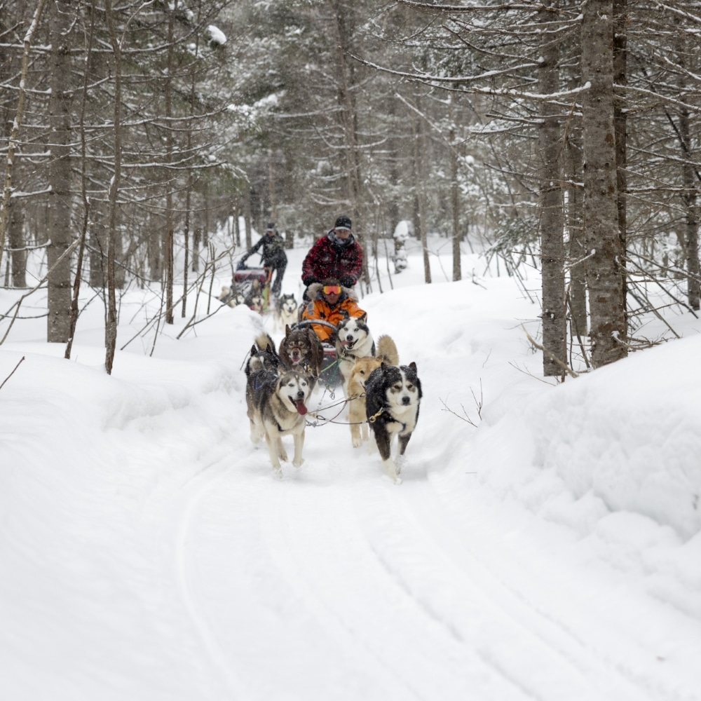 17_reperage_Charcot_Canada©PONANT-Julien Fabro