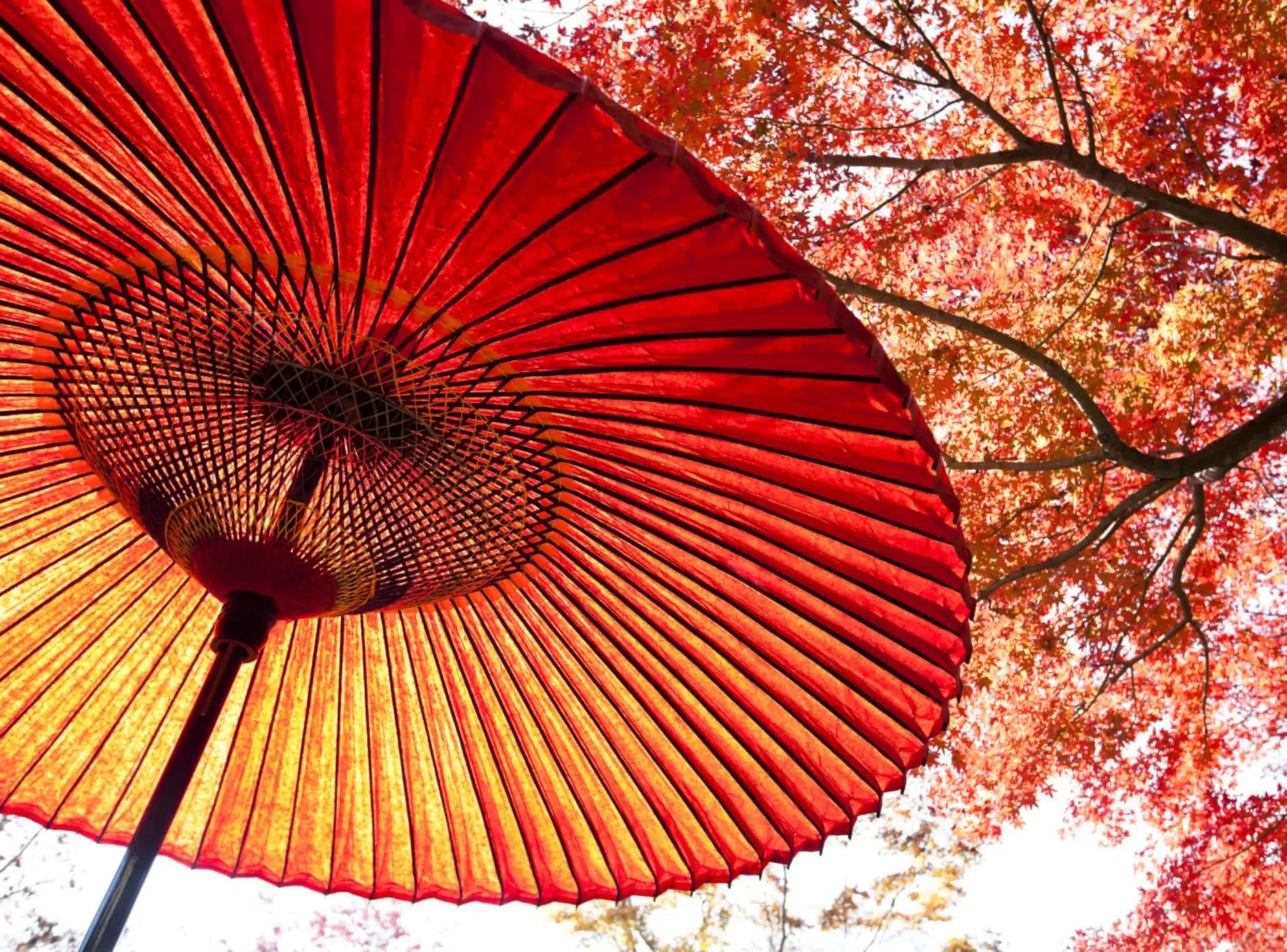  lieux étonnants Japon