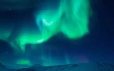 Spotlight on the polar auroras