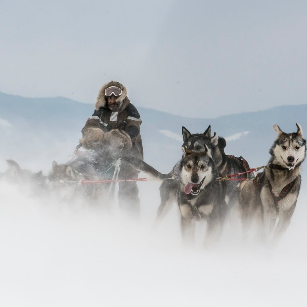 nicolas vanier voyage