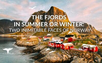 The fjords in summer or winter: two inimitable faces of Norway