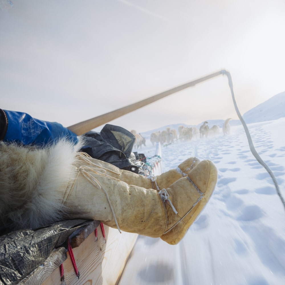 Sur un traineau à chiens – Voyage Kullorsuaq – Julien Fabro