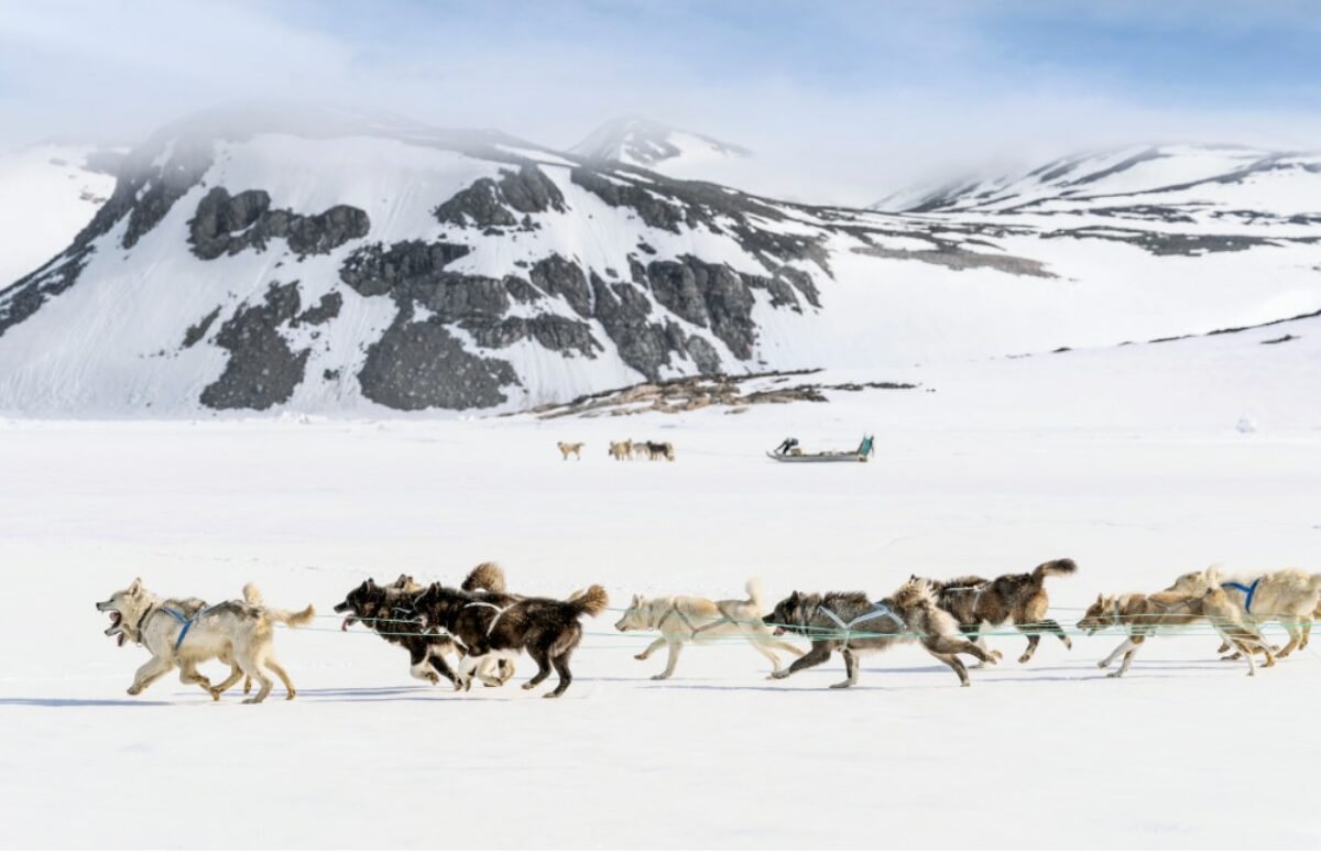 No-2145_R_CC080623_Reykjavik-