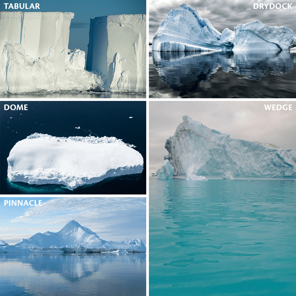 arctic-seals_813_Treaty-Countries_1000x1000