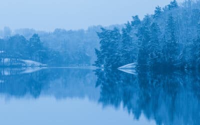 Les 7 meilleurs polars scandinaves