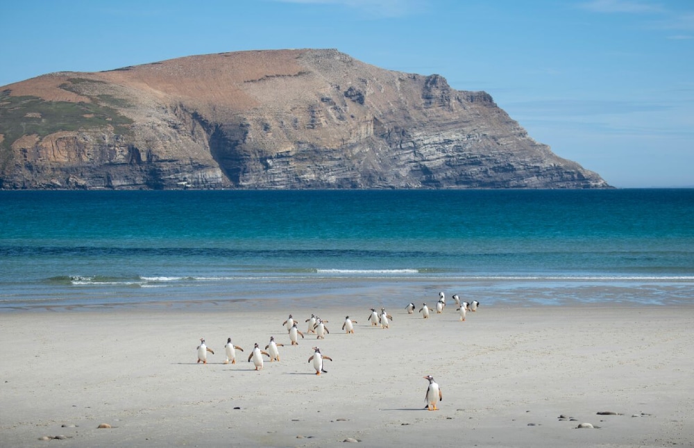 îles Malouines